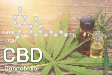 CBD et THC : comment ces deux cannabinoïdes interagissent dans notre corps